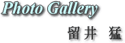 Photo Gallery